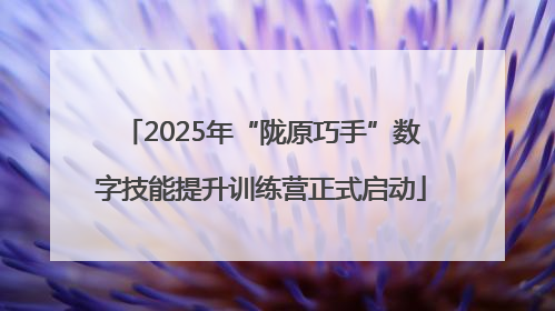 2025年“陇原巧手”数字技能提升训练营正式启动