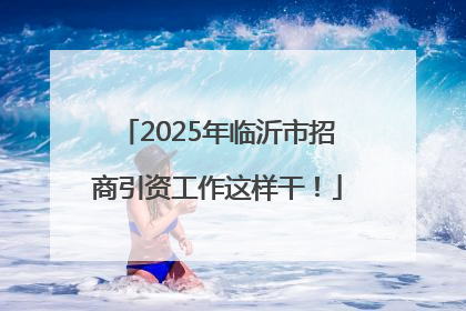2025年临沂市招商引资工作这样干！