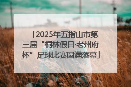 2025年五指山市第三届“桐林假日·老州府杯”足球比赛圆满落幕