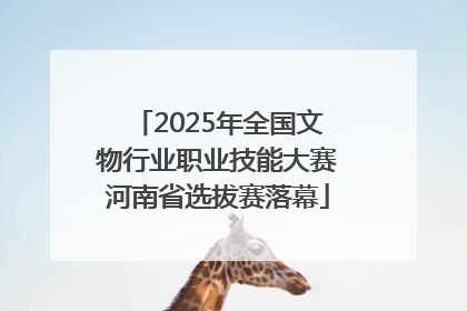 2025年全国文物行业职业技能大赛河南省选拔赛落幕