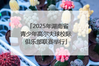 2025年湖南省青少年高尔夫球校际俱乐部联赛举行