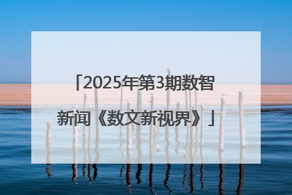 2025年第3期数智新闻《数文新视界》
