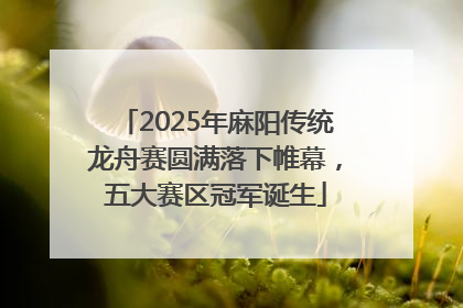 2025年麻阳传统龙舟赛圆满落下帷幕，五大赛区冠军诞生