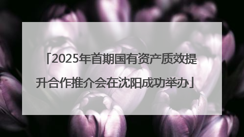 2025年首期国有资产质效提升合作推介会在沈阳成功举办