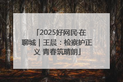 2025好网民·在聊城｜王晨：检察护正义 青春筑晴朗