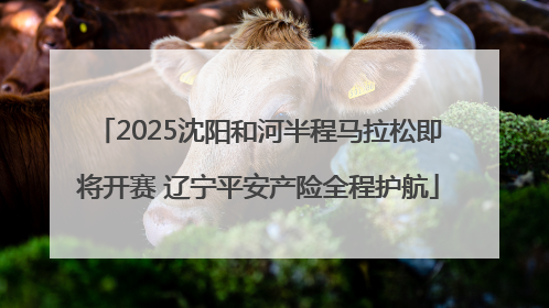 2025沈阳和河半程马拉松即将开赛 辽宁平安产险全程护航