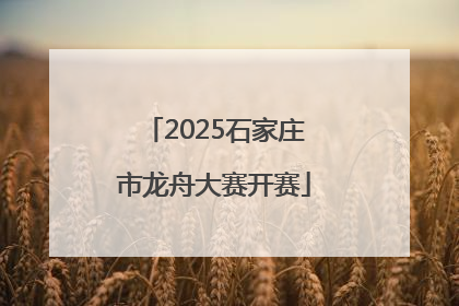 2025石家庄市龙舟大赛开赛