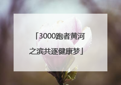 3000跑者黄河之滨共逐健康梦