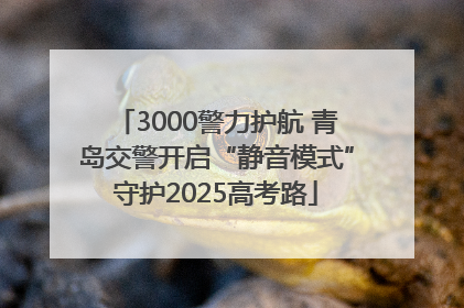 3000警力护航 青岛交警开启“静音模式”守护2025高考路