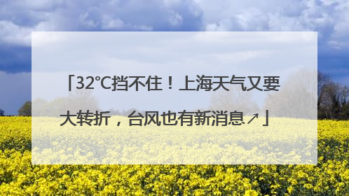 32℃挡不住！上海天气又要大转折，台风也有新消息↗