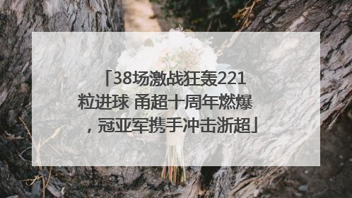 38场激战狂轰221粒进球 甬超十周年燃爆，冠亚军携手冲击浙超