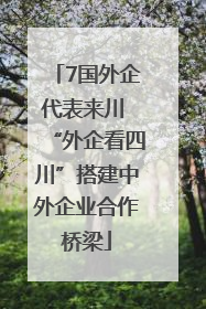 7国外企代表来川 “外企看四川”搭建中外企业合作桥梁