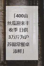 400亩丝瓜迎来丰收季 日供3万斤为沪苏锡常餐桌添鲜