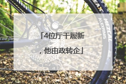 4位厅干履新，他由政转企
