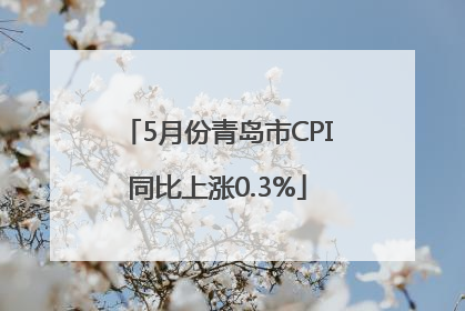5月份青岛市CPI同比上涨0.3%