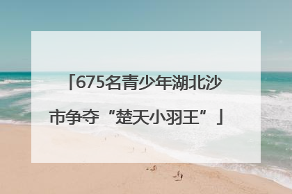 675名青少年湖北沙市争夺“楚天小羽王”