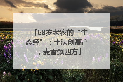 68岁老农的“生态经”：土法创高产，麦香飘四方