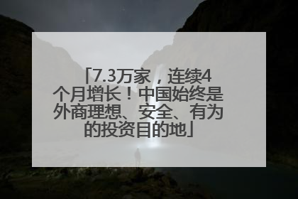 7.3万家，连续4个月增长！中国始终是外商理想、安全、有为的投资目的地