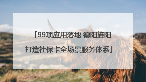 99项应用落地 德阳旌阳打造社保卡全场景服务体系