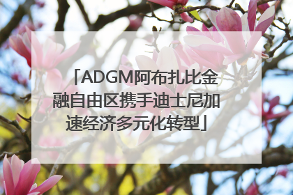 ADGM阿布扎比金融自由区携手迪士尼加速经济多元化转型
